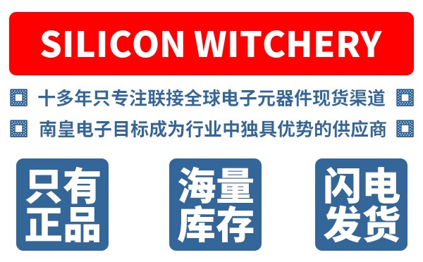 Silicon Witchery��˾